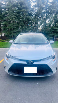 2020 Toyota Corolla LE / One owner / No Accident / Low KM