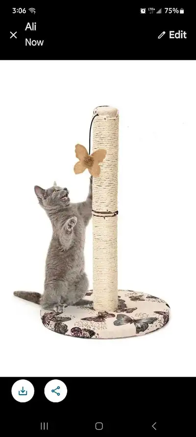 cat tree post scratcher, View more