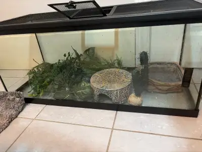 Large Reptile Terrarium with Screen Lid – Guelph, View more