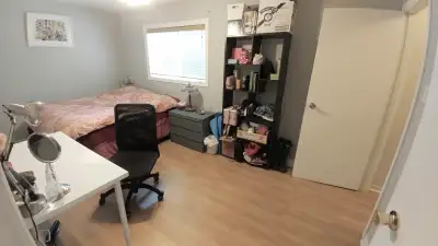Newmarket Room for Rent (Leslie/Davis)