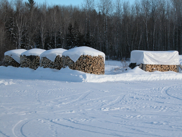 Firewood for Sale in Other in Sudbury
