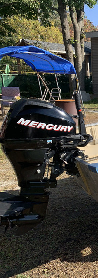 2008 15 Hp 4 stroke Mercury Ourboard