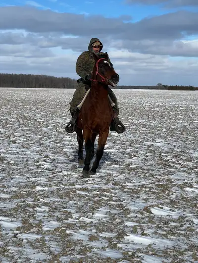 Affordable Quarter Cross Mare, View more