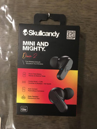 Skull Candy Dime 2 Earbuds