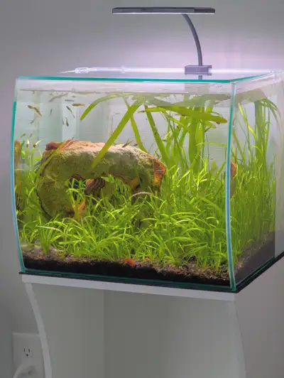 Fluval Flex 15 gallon with stand, View more