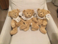 Sick Kids Foundation Collection “Buddy Bears” Sold per each!