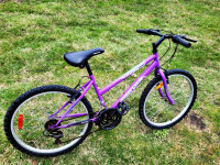 Bike for Petite Lady