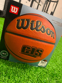 Wilson Evolution basketball