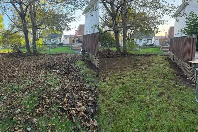 fall cleanup/ leaves removal