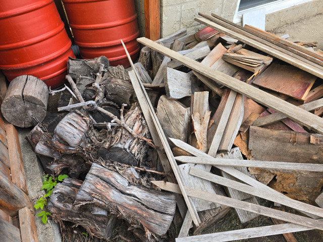 Free scrap wood  and tree stumps for firewood in Free Stuff in Edmonton - Image 4