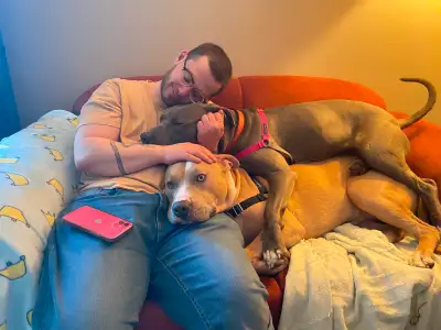 Pet daycare/boarding & dog walking (Gloucester, ON), View more