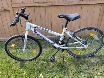 Mountain Bikes, including 26 and 24 inch tires, need TLC,, View more