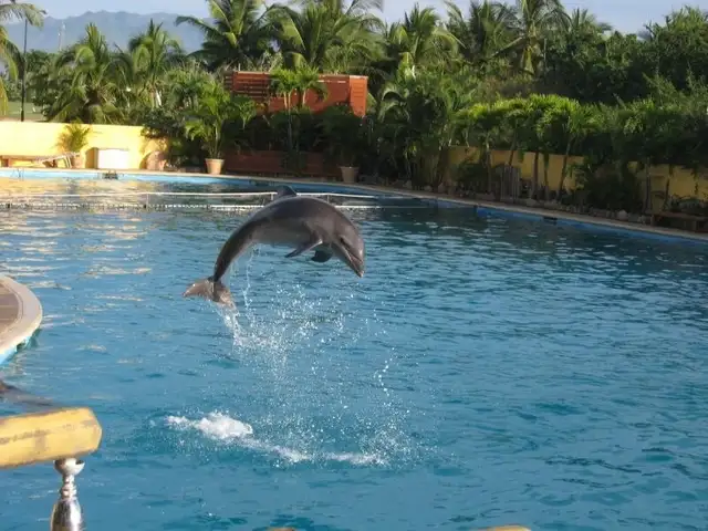 Beach front condo, Nuevo Vallarta in Mexico in Canada - Image 11