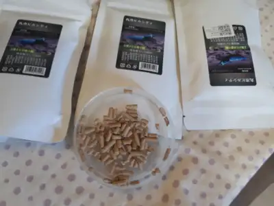 ***shrimp food****, View more