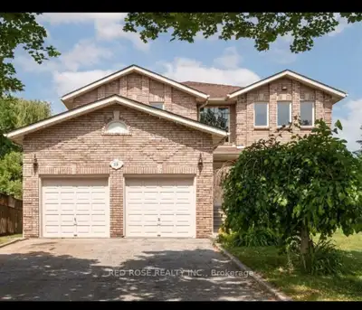 Basement apartment for rent