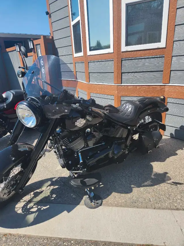 2017 Harley Davidson Softtail Slim S in Street, Cruisers & Choppers in Vernon - Image 3