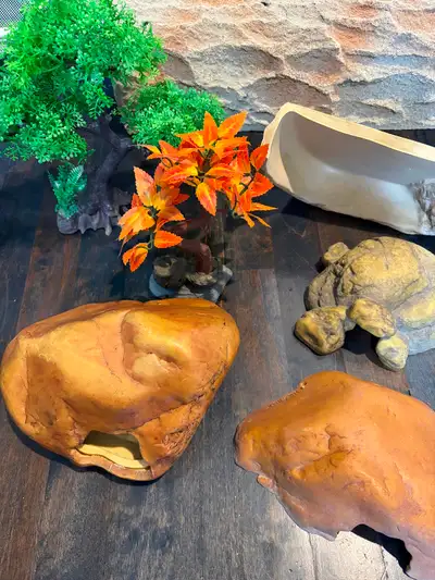 Terrarium, 2 Thermostats, 2 Heating pads, Hides, View more