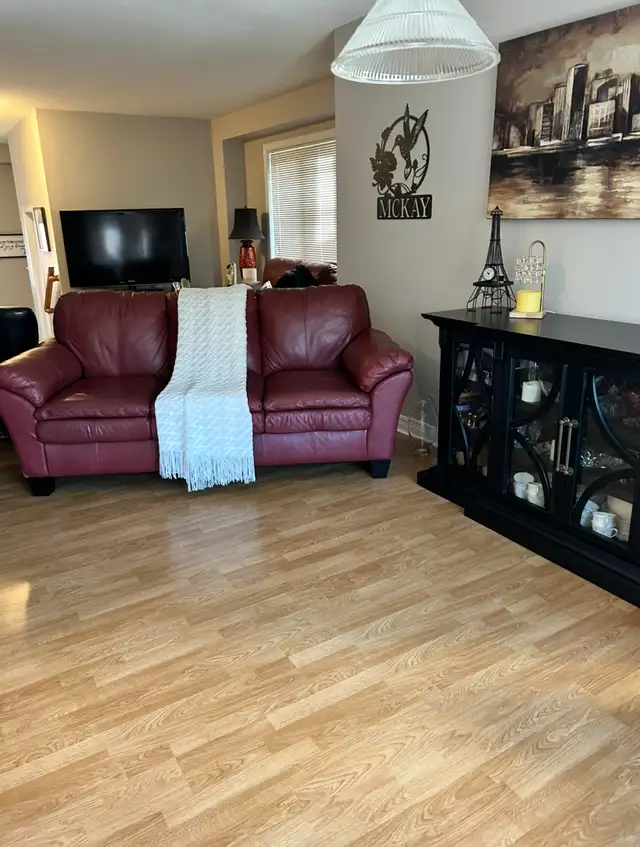Female ..ROOM FOR RENT $ 700.00 a month….. in Room Rentals & Roommates in Ottawa - Image 4