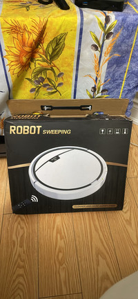 Robot sweeper