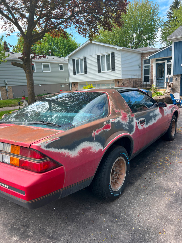 1982 Camaro Recently Certified- 80,000 km in Cars & Trucks in Mississauga / Peel Region - Image 2
