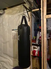 Heavy bag and mount 