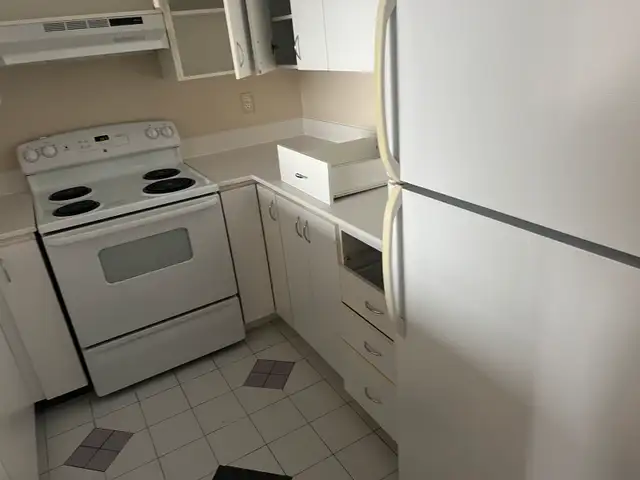 Charming Room Available in Cozy 1-Bedroom  in Room Rentals & Roommates in Ottawa - Image 6
