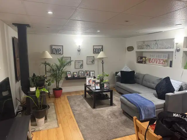 1 Bedroom Spacious Basement Apartment - Milton, Ontario in Long Term Rentals in Oakville / Halton Region - Image 5