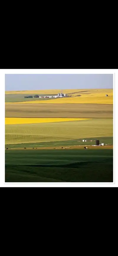FARM HAND WANTED, View more