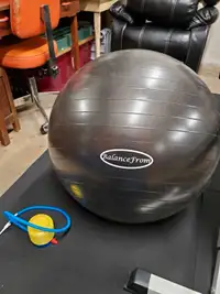 Exercise Ball with Pump mint shape $25