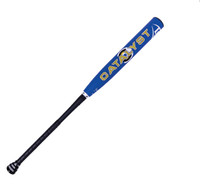 Louisville TPS Catalyst baseball bat