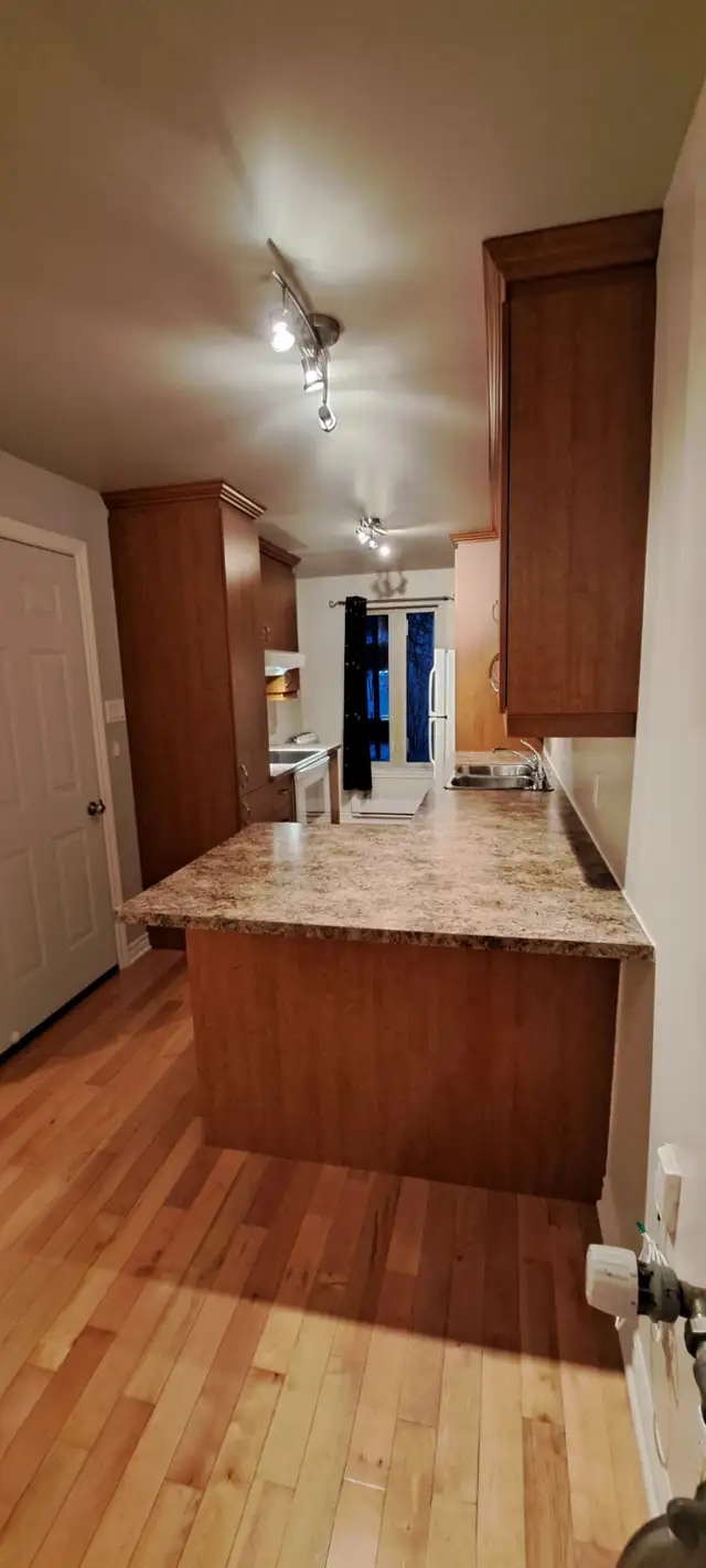 Plateau – Lumineux 3 1/2 – Libre immédiatement – Calme et propre