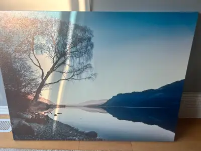 Large Misty Blue Tree Reflection Canvas Wall Art., View more
