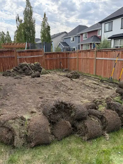 hirring landscaper / worker , View more