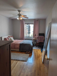 One Bedroom 625 sq.ft. McGill Ghetto,Milton Parc Area
