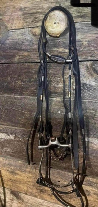 Show Bridle with matching reins !