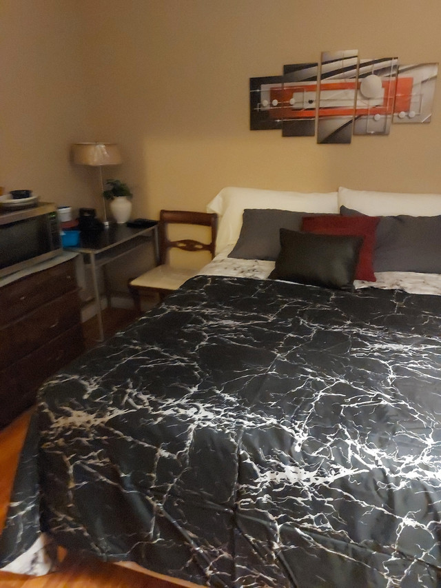 Room in Penticton Available May 1st/24  in Room Rentals & Roommates in Penticton