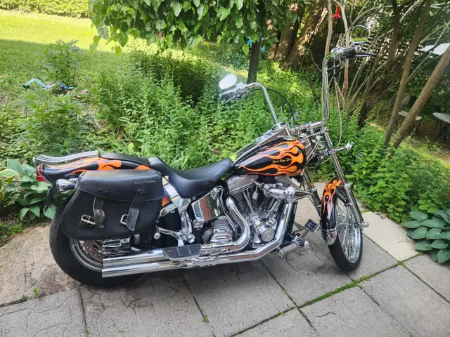Harley  softail *Signature Series* in Street, Cruisers & Choppers in Ottawa - Image 3