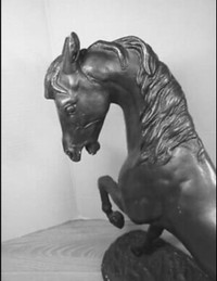  Horse Sculptures Austin