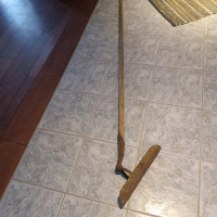 Long handled drain scoop