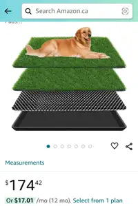 Large Pet Grass Pad 