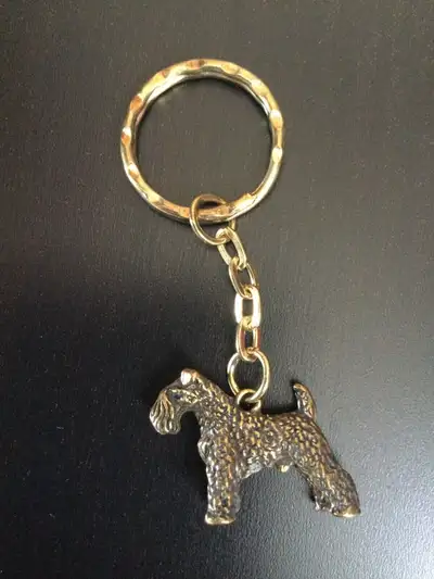 New metal keychain, never used. From smoke free home. Xposted. Porch pickup, Walkers and Upper Middl...