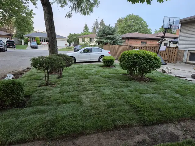 Your Yard, Made Better in Windsor, LaSalle, Tecumseh & Beyond63235267963139121