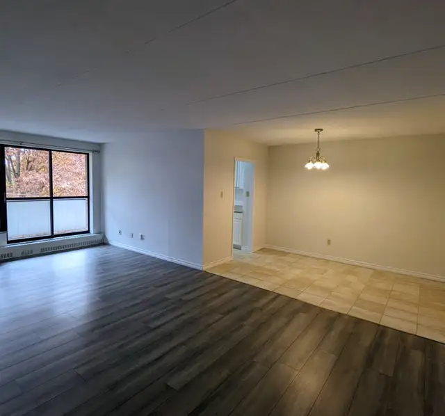 Private Room available in 2-Bedroom Apartment,Utilities Included in Room Rentals & Roommates in Belleville - Image 5