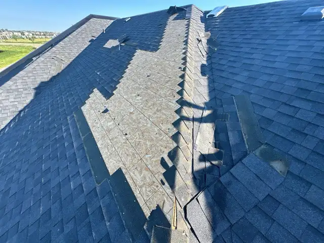 Roof Repair Specialist