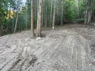 Lot located in Shuswap Lake Estates within walking distance to the lake and Blind Bay Store. Sloping...