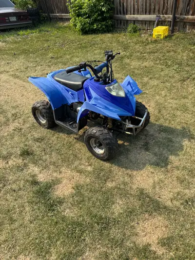 Can clean Works good Oil changed New battery
