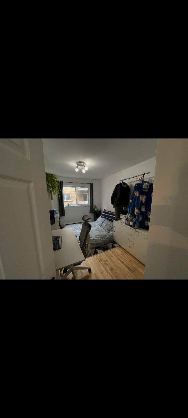 Appartement 4 1/2 colocation dans Chambres à louer et colocs  à Longueuil/Rive Sud - Image 3