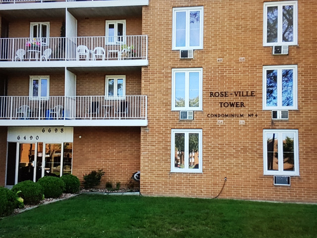 Newly renovated 1 bedroom apt for rent in Long Term Rentals in Windsor Region