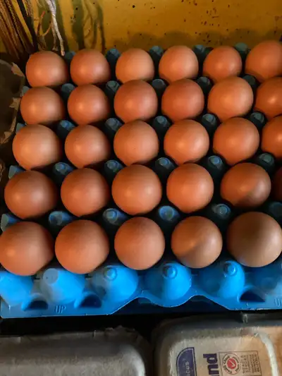 Farm Fresh Eggs, View more
