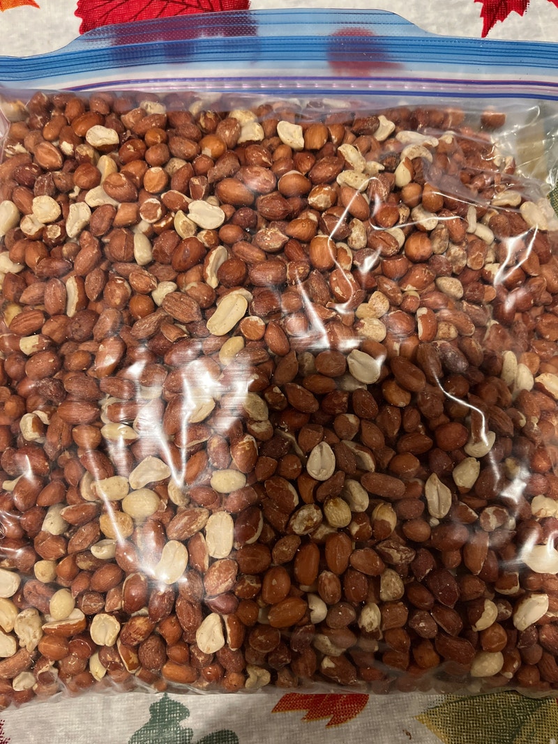 Bird seed Other Winnipeg Kijiji